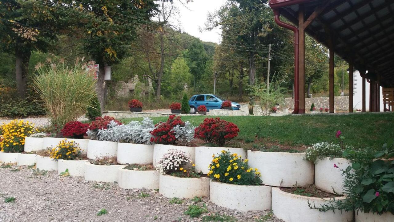 Apartmani Gmitrovic Rtanj Exteriér fotografie